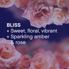 Infusions Laundry Scent Booster Beads for Washer, Bliss, Sparkling Amber & Rose, 26.5 Oz