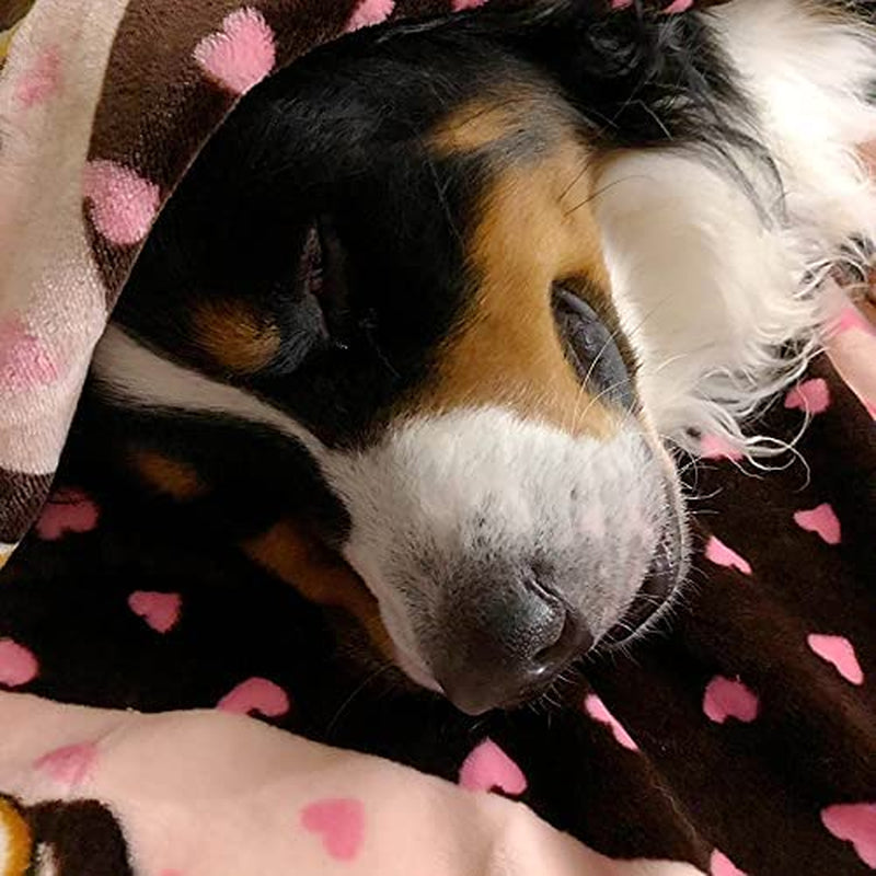 Snuggle Puppy Essentials Starter Kit, Heartbeat Toy & Blanket, Pink, Calming Comfort Toy, Puppy Blanket, Teething Toy, 3 Heat Packs, New Puppy Essentials for First Nights and Crate Training