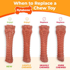 Power Chew Double Action Barbell Bone Dog Chew Toy, X-Large | Durable Dog Toy for Large Dog Breeds 50+ Lbs, Teeth-Cleaning Textures, Long Lasting, Discourages Destructive Chewing