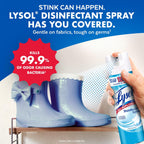 Disinfectant Spray, Household Cleaning Supplies, Disinfecting Multi-Purpose Room Spray, Antibacterial Sanitizer, Deodorizer, Kills Hantavirus, Crisp Linen, 19 Fl Oz (Pack of 2)