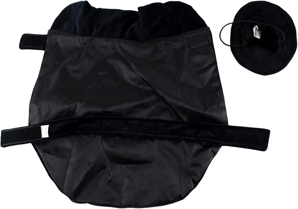 Halloween Witch Cape and Hat Dog Costume - Large