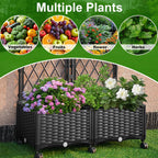 Raised Garden Beds with Screen Outdoor, Garden Trellis for Climbing Plants Indoor, Raised Privacy Planter Box with Trellis for Balcony Backyard Patio, Black, 2 Pcs