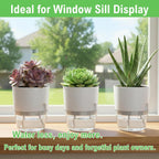 3.2 Inch Self Watering Planters 3 Pack Plastic Wicking Pots White | Modern Self-Watering Pots for African Violets Herbs and Small Plants Perfect for Windowsill Gardening