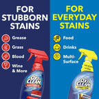 Laundry Stain Remover Spray, 21.5 Fl Oz