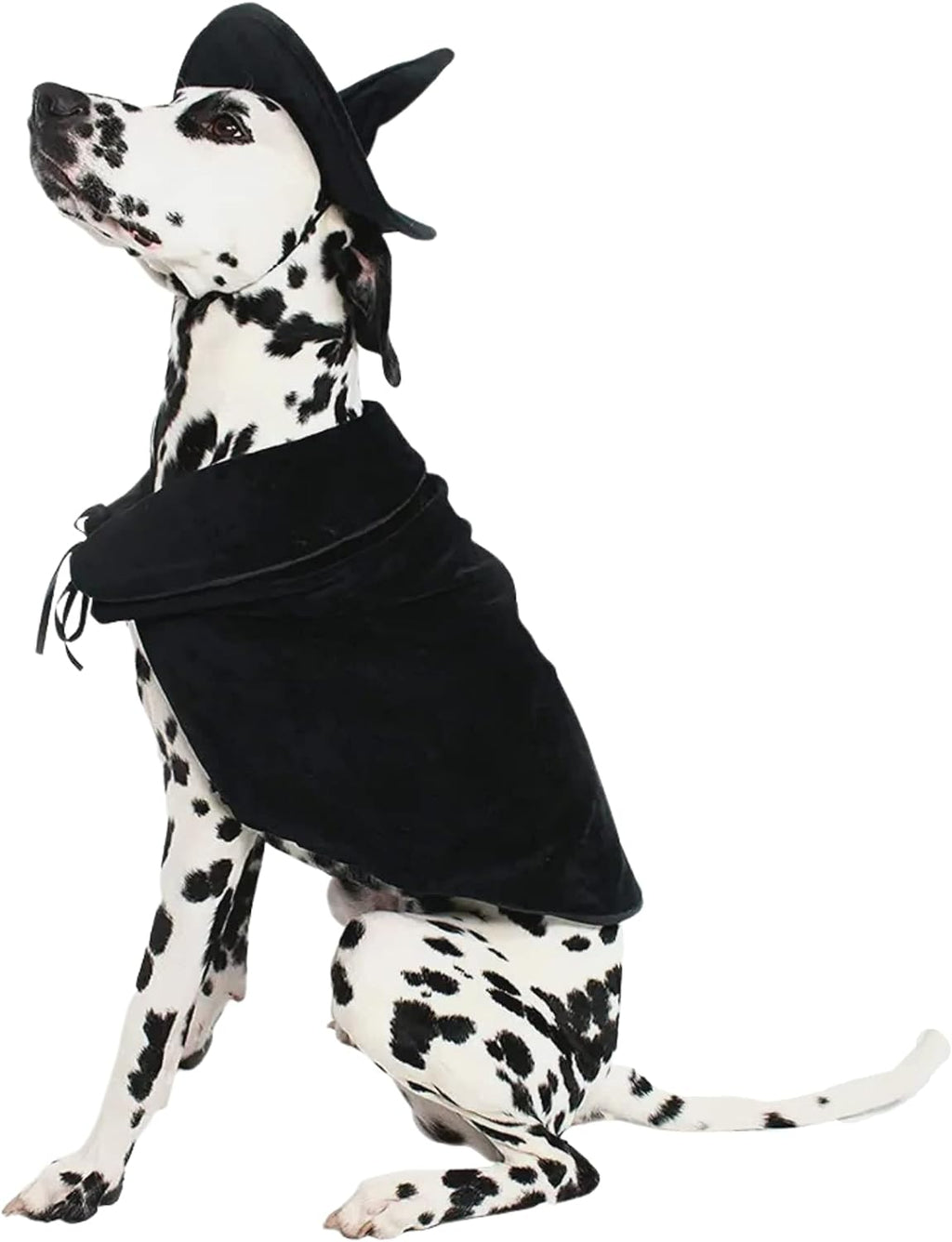 Halloween Witch Cape and Hat Dog Costume - Large