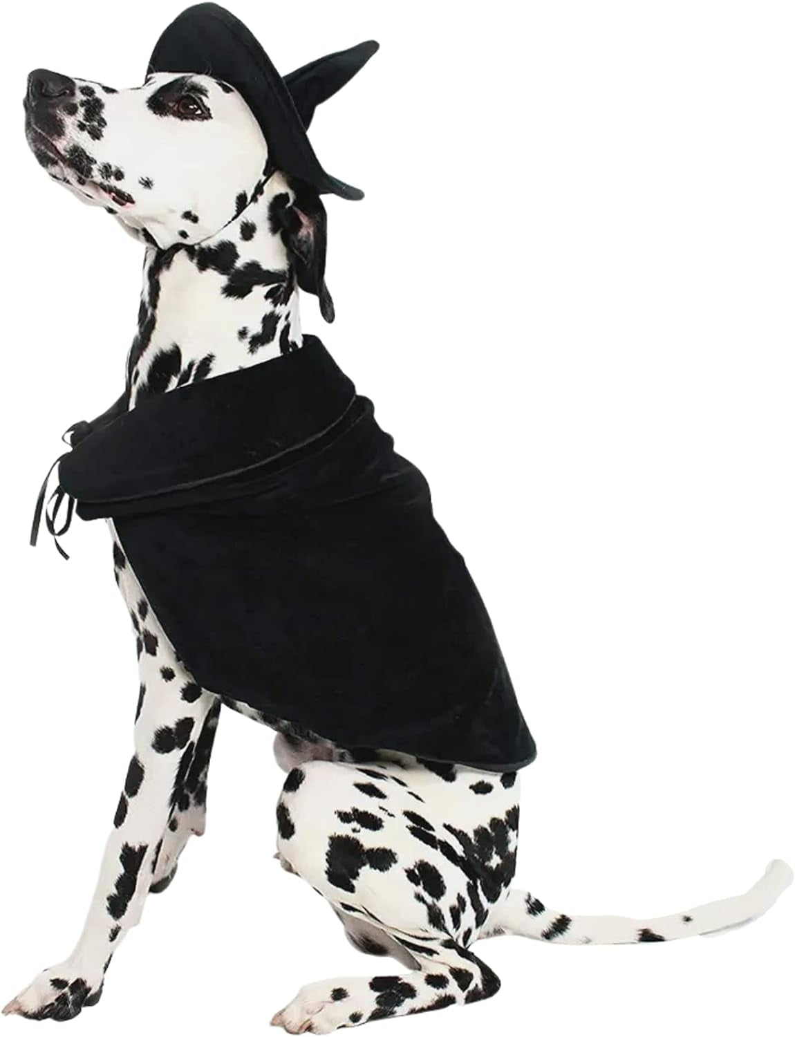 Halloween Witch Cape and Hat Dog Costume - Large