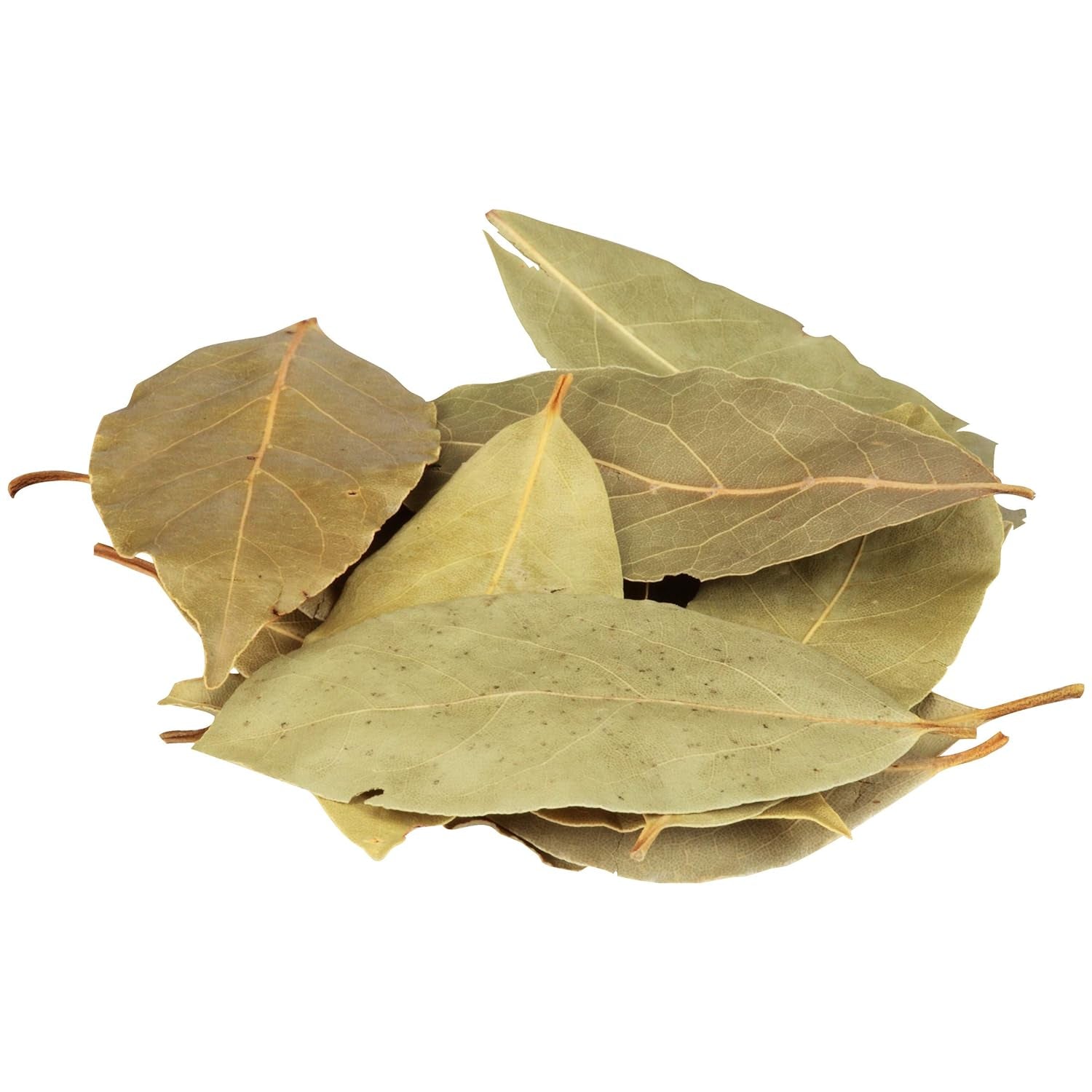 Whole Bay Leaves, 8 Oz - One 8 Ounce Container of Bulk Whole Bay Leaves for a Savory Floral Flavor, Perfect in Stews and Marinades