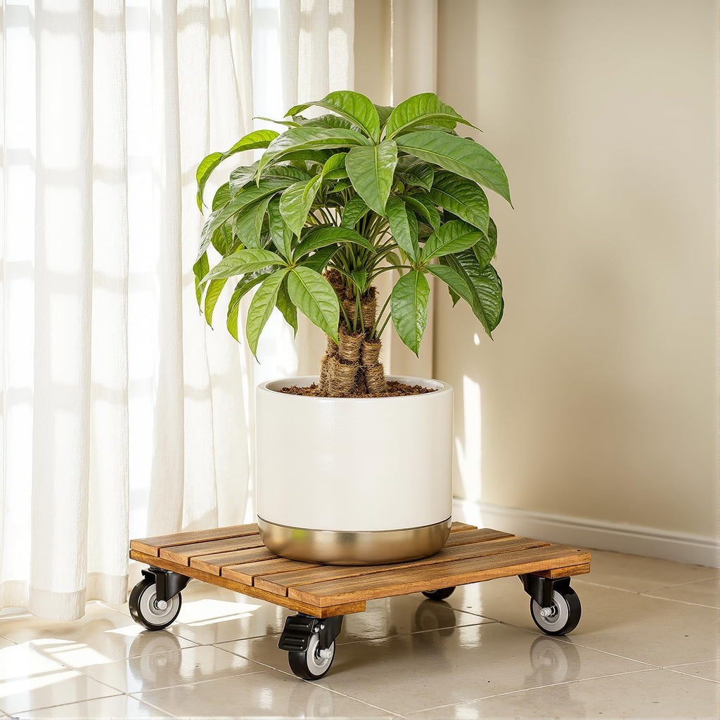 2Pack Wood Plant Caddy with Wheels Heavy Duty, 264 Lbs Capacity, Upgraded 12 Inch Acacia Hardwood Plant Dolly, Plant Stand with 360° Lockable Wheels, Plant Caster for Heavy Objects Hauling - Natural Wood