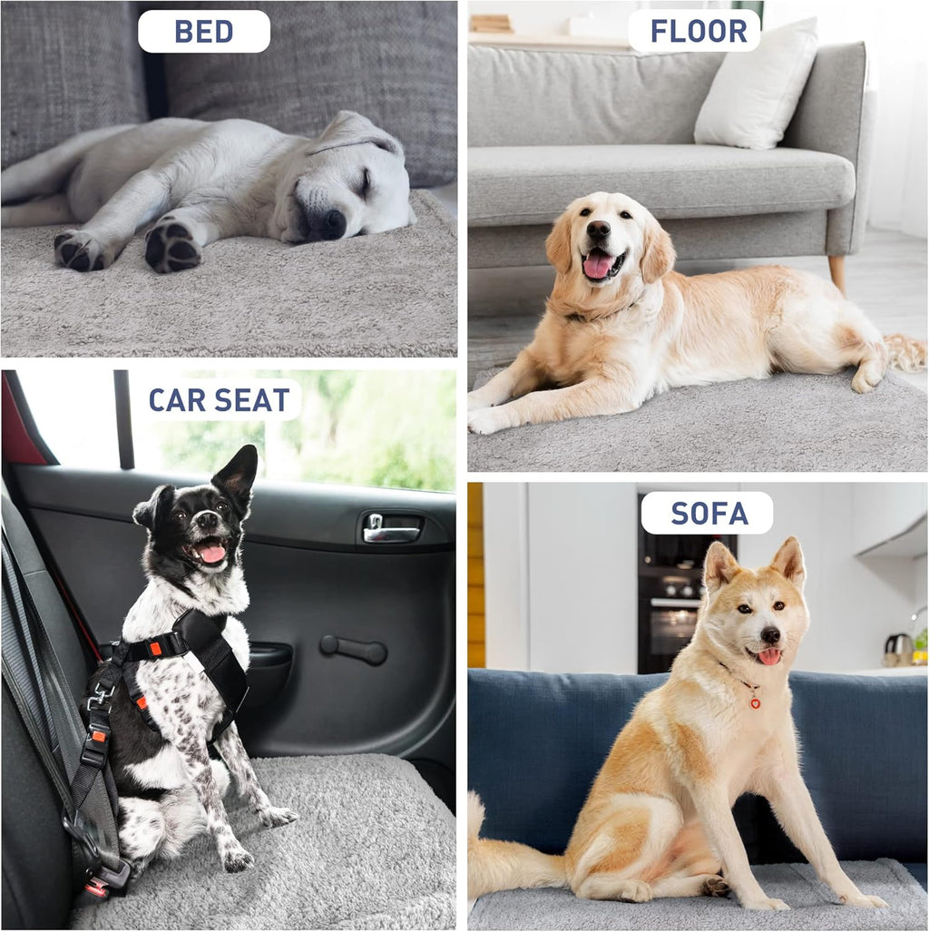 Waterproof Reversible Pet Blanket for Small Dogs | 30 X 50 Inch, Washable Pet Protector for Sofa, Couch, Crates and Car Seats, Guards against Fur, Dirt and Everyday Spills