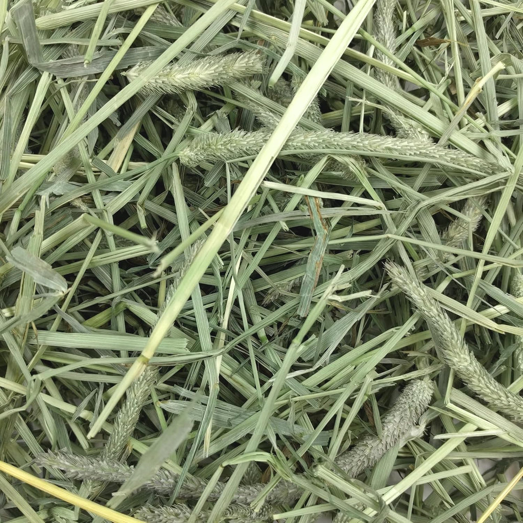 Western Timothy Hay, Rabbit & Guinea Pig Hay, High Fiber, USA, 90 Oz |  Timothy Hay, Bunny Hay for Rabbits, Guinea Pigs, Bunnies and Chinchillas, Hand-Sorted, De-Dusted, Made in USA