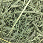 Western Timothy Hay, Rabbit & Guinea Pig Hay, High Fiber, USA, 90 Oz |  Timothy Hay, Bunny Hay for Rabbits, Guinea Pigs, Bunnies and Chinchillas, Hand-Sorted, De-Dusted, Made in USA