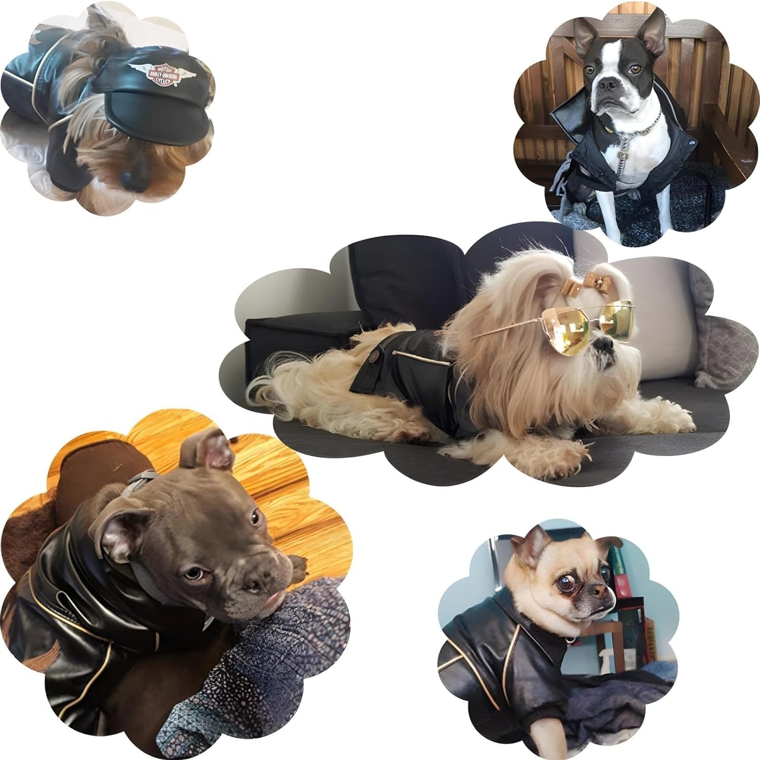 Dog Winter Coat Pu Leather Motorcycle Jacket for Dog Pet Clothes Leather Jacket, Waterproof(S)