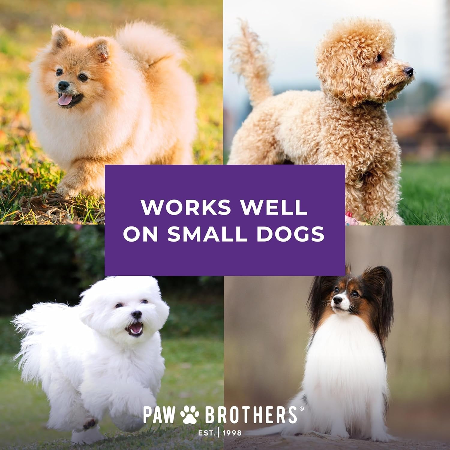 Paw Brothers Mini Pin Tiny Flat Slicker Brush for Dogs, Professional Grade, Stainless Steel Pins, Flexible Head, Comfort Grip, Mini Size, 4.75" X 2.25" X 1.5"