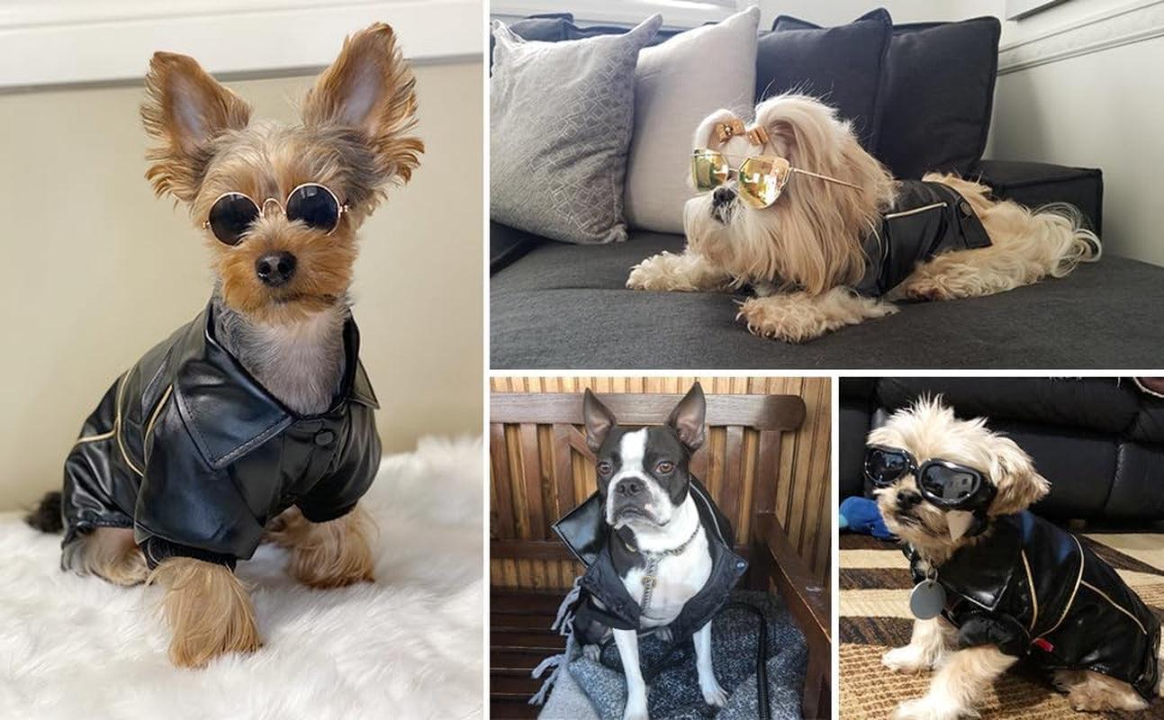 Dog Winter Coat Pu Leather Motorcycle Jacket for Dog Pet Clothes Leather Jacket, Waterproof(S)