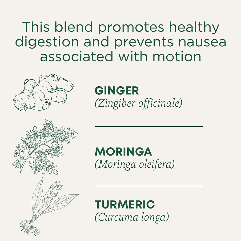 Organic Ginger Aid Digestive Tea, 16 Tea Bags (Pack of 1)