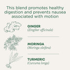 Organic Ginger Aid Digestive Tea, 16 Tea Bags (Pack of 1)