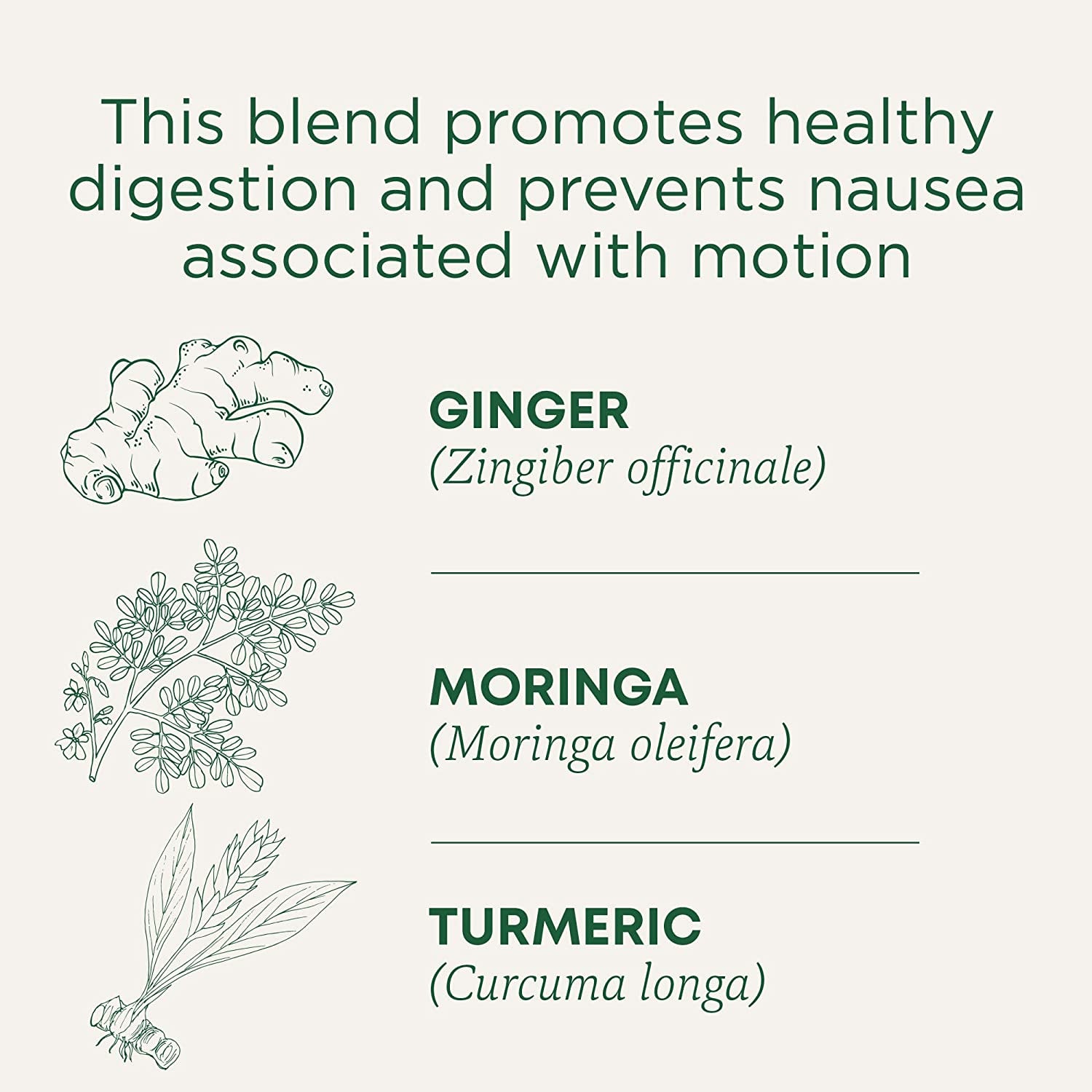 Organic Ginger Aid Digestive Tea, 16 Tea Bags (Pack of 1)