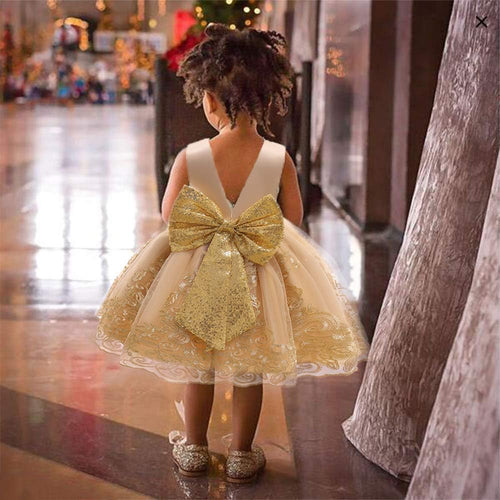 0-6 Years Baby Girls Pageant Lace Embroidery Dresses Toddler Formal Dress with Headwear