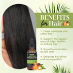 Batana Oil for Hair, Scalp & Skin, Natural Elaeis Oleifera Kernel Oil, Moisturizing Hair Oil for Dry Hair, Lightweight Conditioning Oil, Enhances Softness & Shine, 2.03 Fl Oz (60 Ml)