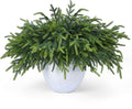 36 Pcs Christmas Greenery Pines Branch Pine Branches Artificial Green Pine Stem - Real Touch for Vase DIY Crafts Flower Arrangement Home Indoor Christmas Decor(18 Inch)