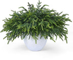 36 Pcs Christmas Greenery Pines Branch Pine Branches Artificial Green Pine Stem - Real Touch for Vase DIY Crafts Flower Arrangement Home Indoor Christmas Decor(18 Inch)