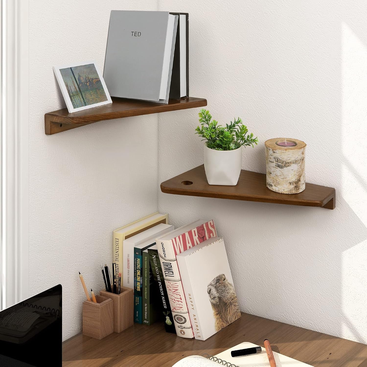 Floating Nightstand Set of 2 Walnut Bedside Shelf for Small Spaces | Wall Mounted Bedside Table with Cable Hole, Wooden Versatile Storage Organizer for Bedroom, Trapezoidal Design, Space Saving