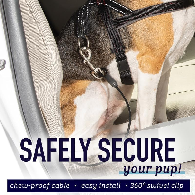 Dog Car Seat Belt Restraint - No-Chew Heavy Duty Car Seatbelt for Pets - 5 Sizes - Coated Steel Rope to Prevent Chewing (16 In) - Restraints for Dogs in Cars - Dog Seat Belt for Car