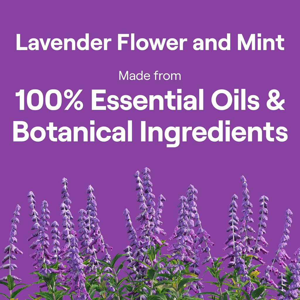 Hand Dish Wash Refill, Lavender Floral & Mint, 3Pk 50Z