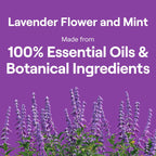 Hand Dish Wash Refill, Lavender Floral & Mint, 3Pk 50Z