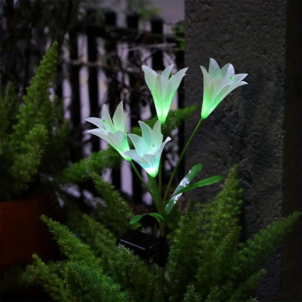 image3