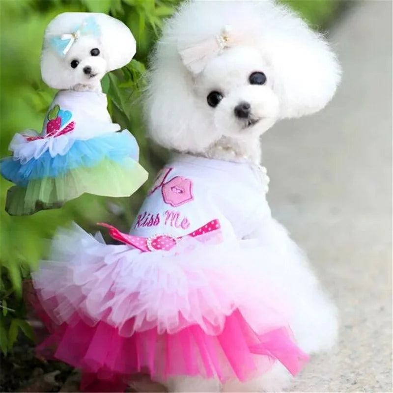 Sweety Pet Skirt for Dog Cat Fashion Dog Puppy Dress Cute Lace Pet Puppy Skirt Princess Style Small Dog Cat Skirt Pet Clothing