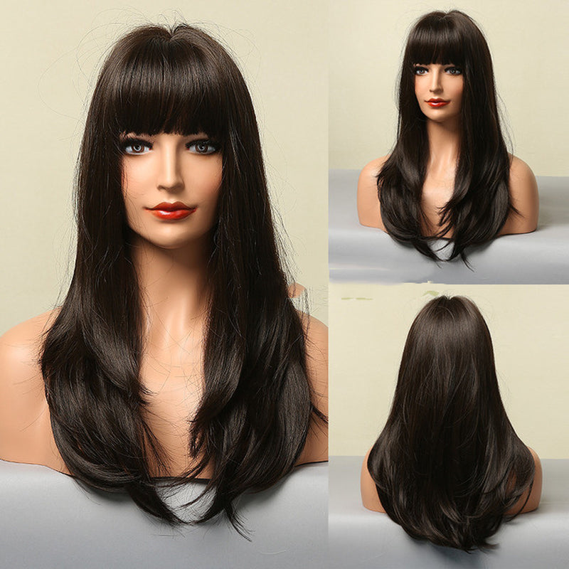 Fashion Brown Grey Long Straight Wig Female Hair