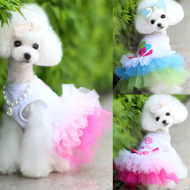 Sweety Pet Skirt for Dog Cat Fashion Dog Puppy Dress Cute Lace Pet Puppy Skirt Princess Style Small Dog Cat Skirt Pet Clothing